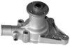 BUGATTI PA0252T Water Pump